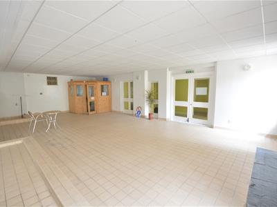 Picture 24